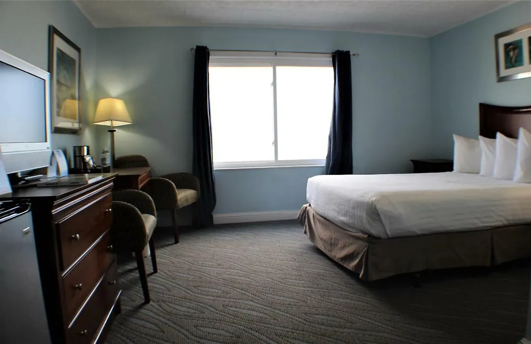 Beach Plaza Hotel-1