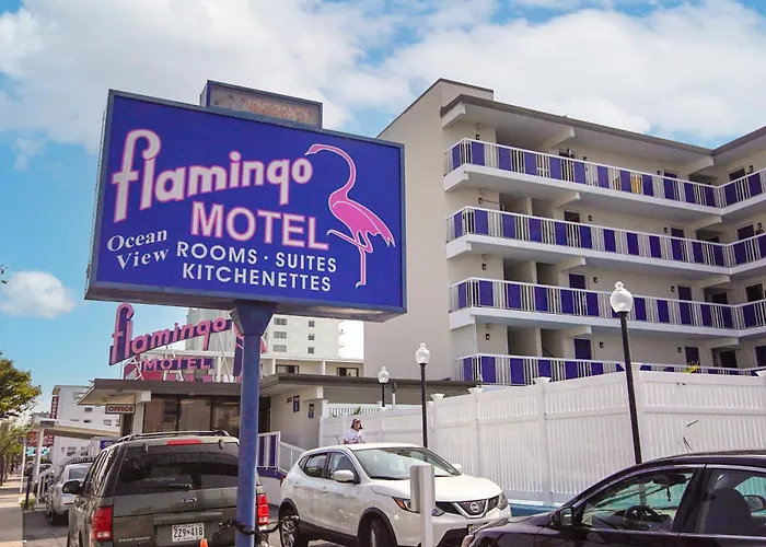 Motel: Flamingo Motel