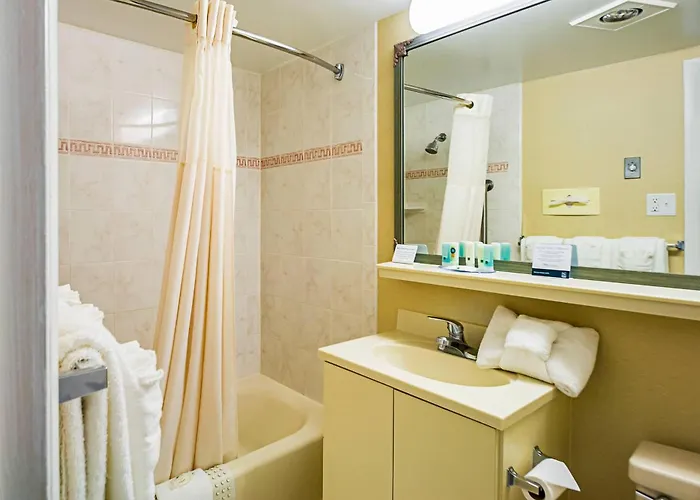 Pet Friendly hotel: Quality Inn Oceanfront